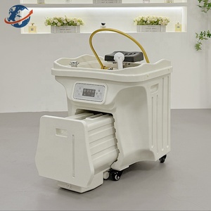 Lavacabezas Portátil de Alta Gama con Tanque de Agua de 60L y 18L, Máquina para Lavado de Cabello con Spa Capilar, con Circulación de Agua y Vapor - Product Image 1