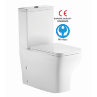 Customizabel couleur blanche usine CE placard à eau sans monture salle de bain WC monté au sol lavage deux pièces cuvette de toilette