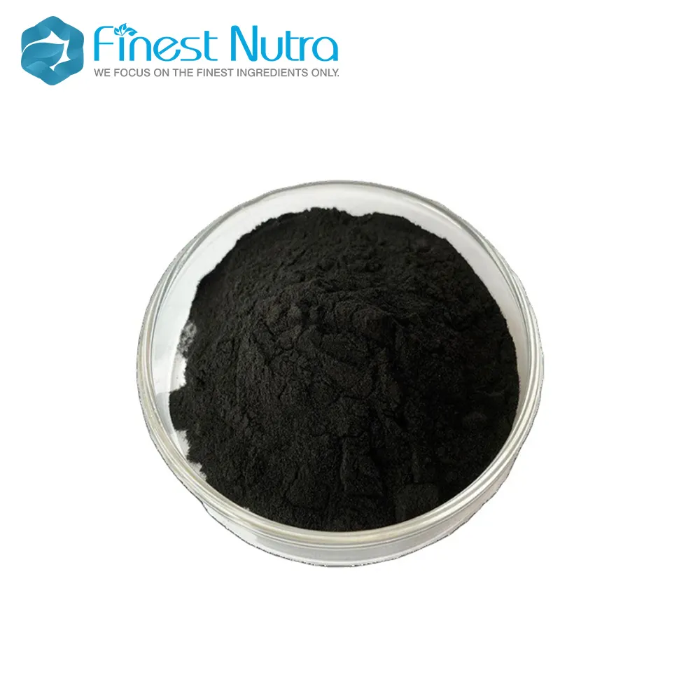 Pigmento nero per uso alimentare E153 polvere nera di carbonio vegetale CAS 7440-44-0