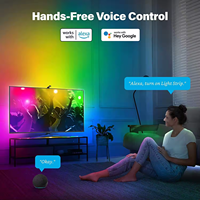 Guirlande lumineuse LED intelligente flexible USB 5m IP20 12V RGBIC 30 LED/m en cuivre, synchronisation musicale Tuya, application Google Alexa, capteur pour rétroéclairage TV