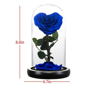 En gros pas cher énorme beauté <span class=keywords><strong>et</strong></span> <span class=keywords><strong>la</strong></span> bête boîte coeur violet éternel pour toujours stailized préservé <span class=keywords><strong>rose</strong></span> <span class=keywords><strong>dans</strong></span> un dôme de verre pour cadeau - Product Image 2