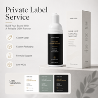 Fabricant de mousse coiffante pour cheveux en marque privée avec une tenue forte, du volume et un effet anti-frisottis pour les perruques, les tissages et les extensions