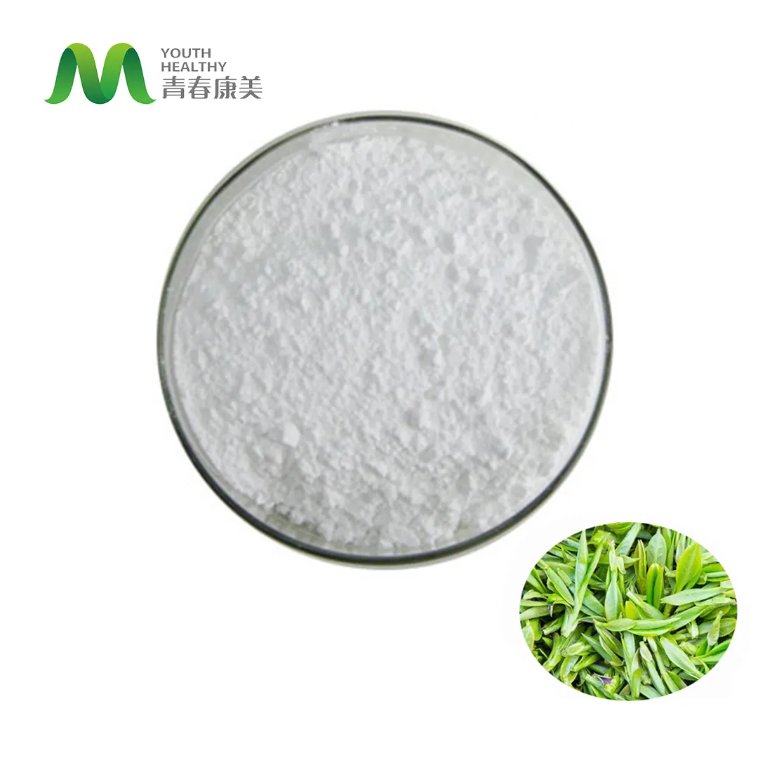緑茶エキス粉末カプセルL-テアニンカプセル中国サプライヤー