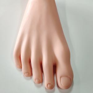 Modelo de cuidado de pie diabético De ciencia médica avanzada DARHMMY - Product Image 4