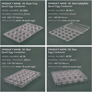 Boîte d'emballage jetable en plastique PET transparent pour œufs de <span class=keywords><strong>caille</strong></span>, plateau en plastique transparent à 6, 8, 10, 12, 15, 18, 20, 24, 30 alvéoles pour œufs de <span class=keywords><strong>caille</strong></span> géants - Product Image 4