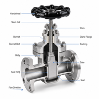 Vanne à opercule à bride en acier inoxydable LUOKEFM Z41H CF8 Classe 150 avec joint PTFE vierge - Plage de température industrielle de -29 à 425 °C