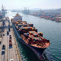 Transitaire maritime DDU avec assistance pour la licence d'importation Chine vers Bari, Italie – Fret maritime