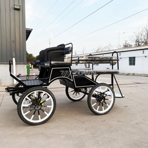 Carro de entrenamiento ecuestre popular para turismo, para maratones de caballos, con tracción de poni - Product Image 4