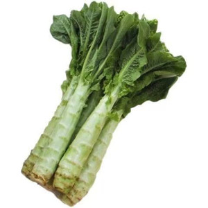 Semi di Lattuga Quattro Stagioni, a Buccia Verde e Polpa Verde, Profumati e ad Alta Resa, Forniture per Giardino - Product Image 3