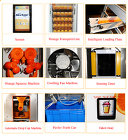 Distributeur automatique de jus d'orange à grande capacité personnalisé NewSaier, jus de fruits frais, miel, système de paiement par carte de crédit et pièces, métal