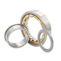 Roulement à rouleaux cylindriques à une rangée NU2304 NU2305 NU2306 NU2307 NU2308 NU2309 NU2310 NU2311 NU2312 GCr15 pour réducteurs et pompes
