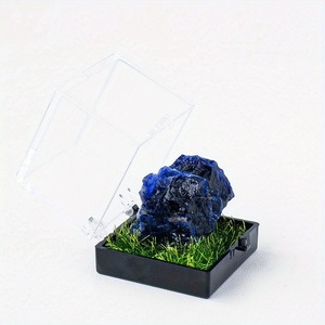 Boîte de rangement pour spécimens minéraux en acrylique, boîte de présentation pour cristaux naturels, pierres brutes, agates, avec accents d'herbe - Product Image 5