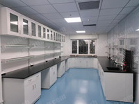 Unité de flux d'air laminaire (LAF) de type suspendu au plafond pour salle blanche