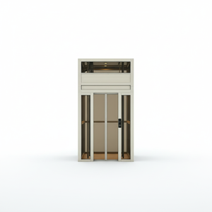 Ascensore per Piccole Ville Residenziali, Cabina in Vetro Silenziosa, Design Senza Fossa, Certificato CE ISO, Prezzo di Fabbrica - Product Image 6