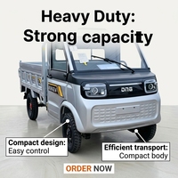 Camionnette électrique à prix de gros 72V 100Ah 2 places pour jardin et pépinière