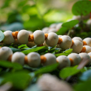 ชุดลูกปัดไม้ธรรมชาติมาลาสีขาว - Product Image 2