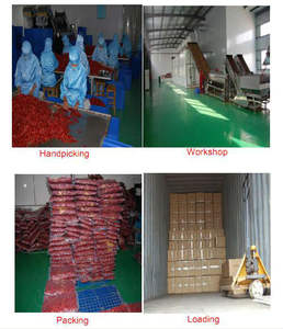 פתיתי פלפל צ 'ילי טבעי טהור כיתה עם הסמכה ללא תוספות צ' ילי באיכות גבוהה - Product Image 5