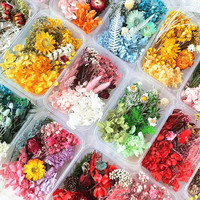 Coffret de Fleurs Séchées Stabilisées pour Art en Résine DIY, Mélange de Fleurs Séchées Naturelles Multicolores en Vrac, Kits de Matériaux