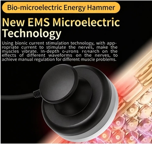 เครื่องมือดูแลสุขภาพ นวดเสริมความงาม เมอริเดียน ทรีเวย์ มาสเตอร์ ไบโออิเล็กทริก - Product Image 4