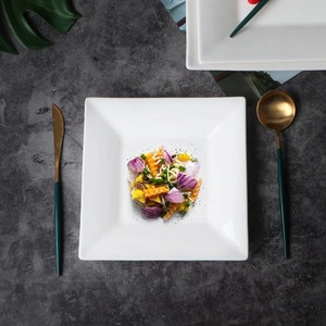 Ceramic Square <b>Plate</b> White Porcelain For Pasta <b>Steak</b> Sushi Western Dinner Hotel Use - Product Image 3