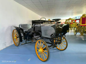 Carruajes de Caballos para Bodas y Turismo, y Carruajes Eléctricos de Caballos en Venta - Product Image 3