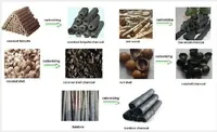 Presse à briquettes automatique pour sciure de bois et charbon de bois, broyeur de bois haute capacité, équipement de production de charbon de Turquie