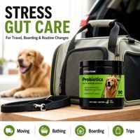 Complément alimentaire pour animaux de compagnie, comprimés probiotiques pour chiens, OEM/ODM, soutient la santé intestinale et la fonction digestive, soutient le système immunitaire, soutient la flore intestinale