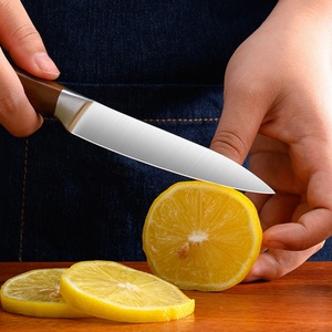 Cuchillo de Cocina Japonés de Acero Inoxidable, Cuchillo de Chef de Doble Uso para Picar, Cortar y Rebanar Carne - Product Image 4