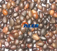 Meilleure vente Palm Kernel Crusher avec deux choix de puissance (diesel électrique)