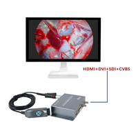 Caméra endoscopique portable Full HD 1080P de haute qualité, instrument vétérinaire efficace pour les soins aux animaux, caméra médicale