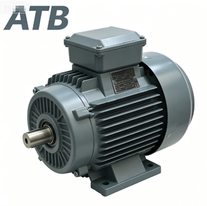 Motor de inducción ATB Motor Schorch WEG BALDOR VEM BROOK IE2 IE3 IE4 IE5 1HP 5HP 20HP 30HP 50HP en venta - Product Image 1