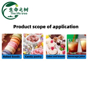 Soluzione di Acido Lattico 80% Grado Alimentare, Fornitore di Regolatori di Acidità, Alternativa alla Gelatina, Additivo Alimentare - Product Image 3