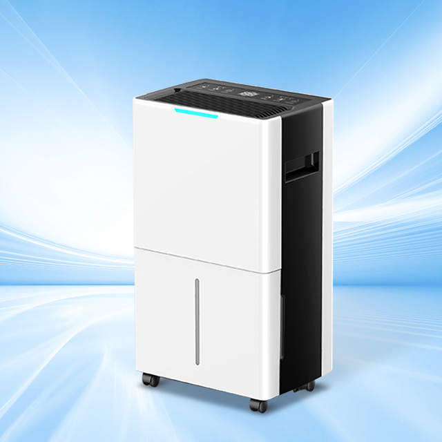 6L Compressor Mini Humidistat Dehumidifying air Dehumidifier Technology Reusable Mini Portable Home Dehumidifier PH11X-06
