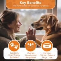 Poudre d'hydratation essentielle OEM pour chiens, enrichie en électrolytes et nutriments, améliorant la qualité de l'eau, complément alimentaire actif pour chiens seniors, soutien immunitaire et santé