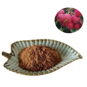 サンザシ果実エキスサンザシベリーパウダーCrataegus Oxyacanthaパウダー - Product Image 1