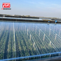 Film plastique agricole pour serre, diffusion des rayons UV, fraise, myrtille, framboise, mûre, PE EVA anti-UV, 150 microns, 5 couches