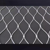 Filet de clôture flexible en câble métallique en acier inoxydable SS304 316 pour zoo et volière, avec embouts, pour clôture de tigres et lions, CE ISO