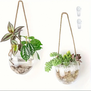 Großhandel Glas-Hänge-<span class=keywords><strong>Terrarium</strong></span> Vase <span class=keywords><strong>Terrarium</strong></span>-Glasbehälter Blumentöpfe für Sukkulenten Heim- und Gartendekoration - Product Image 1