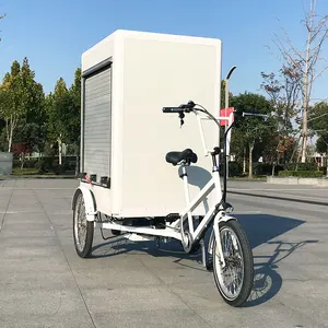 Triciclo de carga eléctrico, 3 ruedas, con Motor eléctrico de 500W y gran capacidad, barato