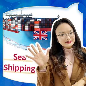 Воздушные перевозки из китая в Европу по железнодорожным транспортом в Польшу, Германию, Бельгию, Францию, Италию в соответствии с транспортировкой DDP - Product Image 3