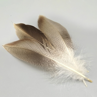 Professionelle Entenflankenfedern zum Fliegenbinden, natürliche Wildentenfedern für Trockenfliegenflügel und -schwänze, Material für Forellenfischen