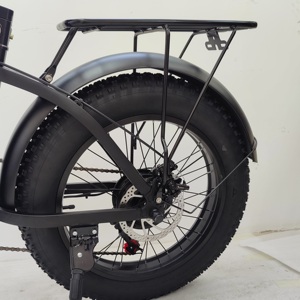 中国工厂批发铝合金电动自行车250W/500W/1000W电机20英寸宽胎折叠电动自行车避震叉碟刹 - Product Image 3