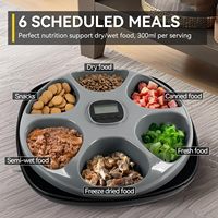 AFP Distributeur automatique de nourriture pour animaux domestiques avec 2 packs de glace 6 repas pour chiens chats Bols à minuterie automatique pour aliments secs humides