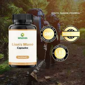 Capsules de champignons Lion's Mane OEM/ODM |   500 mg de Facteur de Croissance Nerveuse (NGF) et soutien cognitif |   Biologique, sans OGM - Product Image 4