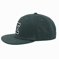Casquette de baseball vintage avec logo personnalisé, broderie 3D en relief, motif fruité, unisexe, snapback, visière incurvée, chapeau décontracté pour l'extérieur
