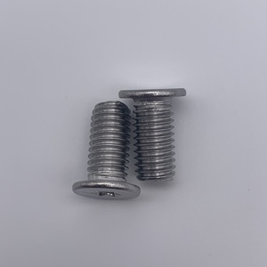 Customized Stainless Steel Metric <b>Flat</b> Countersunk Head Hex Socket Plum Torx Fully Thread Bolt - Product Image 2