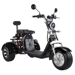 Amoto Model CP-3.0 Good Look Electric Tricycles 2000W 12AH/20AH/40AH Double Seat electric scooters Citycoco Adults