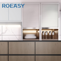 Roeasy stores persienne PVC meubles de cuisine obturateur porte aluminium armoire armoire volet roulant pour salle de bain chambre balcon