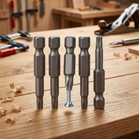 Embouts Torx T20 S2 50 mm à tige hexagonale en vrac - Ensemble d'embouts de tournevis de précision en gros pour les fabricants d'outils