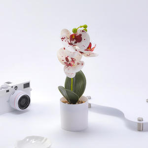 Set de Plantas Artificiales Decorativas de Phalaenopsis y <span class=keywords><strong>Suculentas</strong></span> <span class=keywords><strong>en</strong></span> Maceta para Decoración del Hogar y Arreglos Florales - Product Image 6